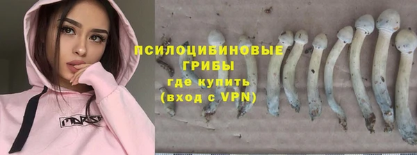 apvp Абдулино