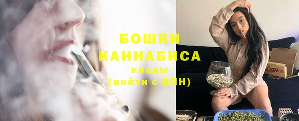 PSILOCYBIN Абаза