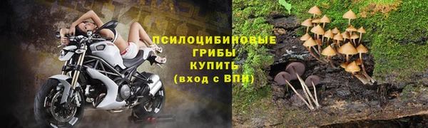 apvp Абдулино