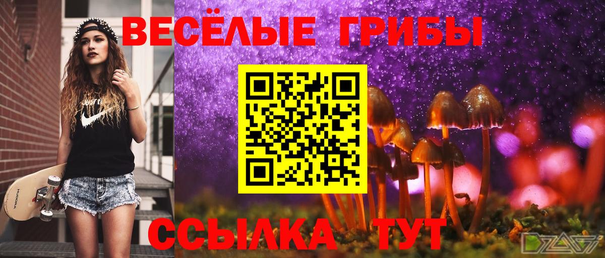 Галлюциногенные грибы мицелий  Вход с VPN  Азнакаево  купить  сайты  Галлюциногенные грибы Cubensis 