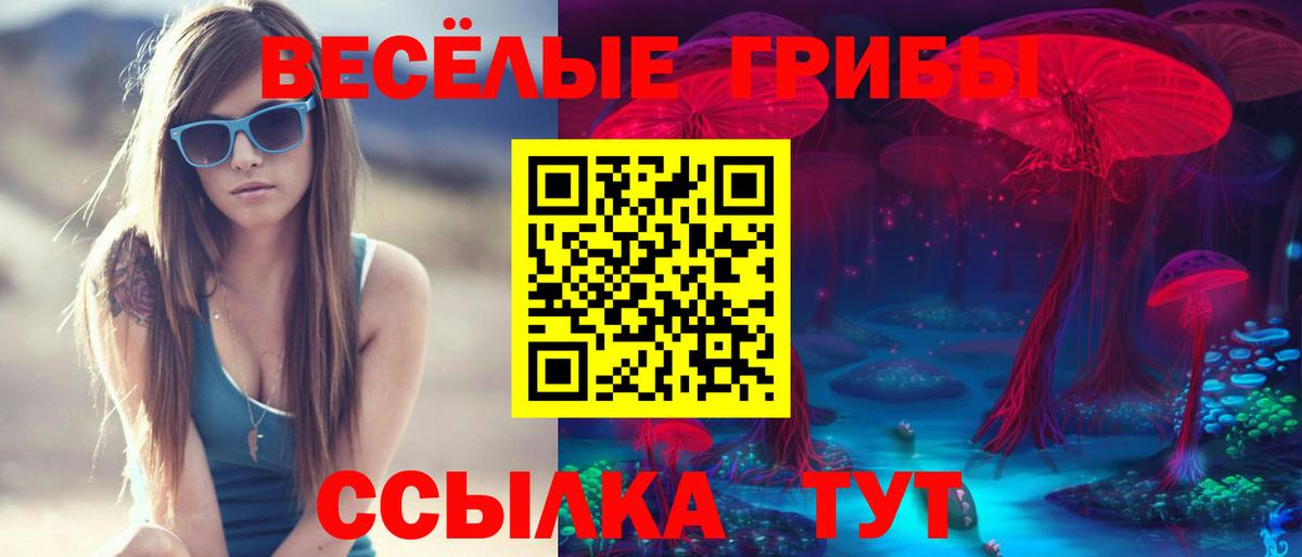 Псилоцибиновые грибы GOLDEN TEACHER Азнакаево